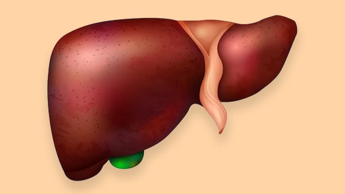 Cover Image for Bộ Can
