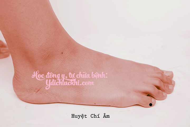 BQ- Chí Âm