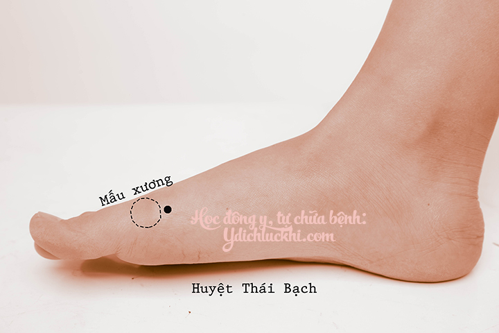 Du Huyệt – 3 Tỳ – Thái Bạch