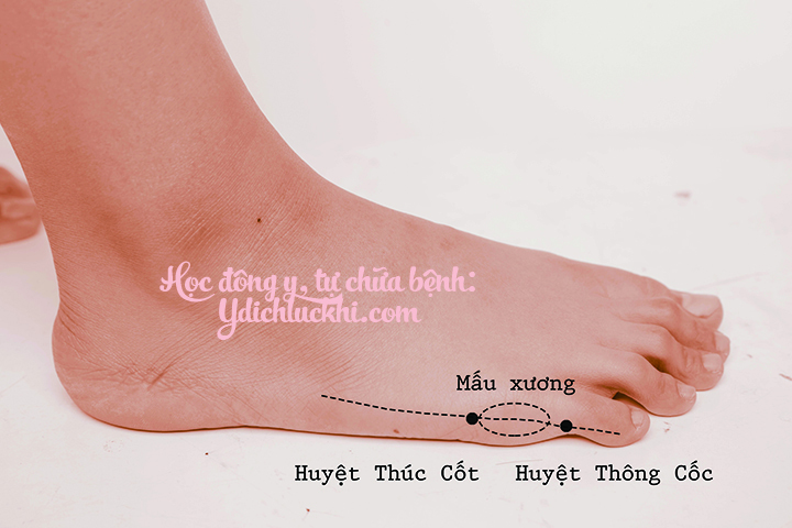 BQ- Thúc Cốt