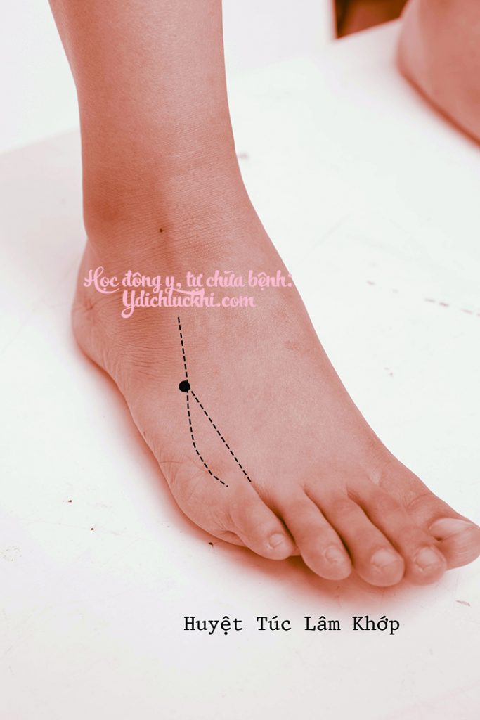 Đởm – Túc Lâm Khấp