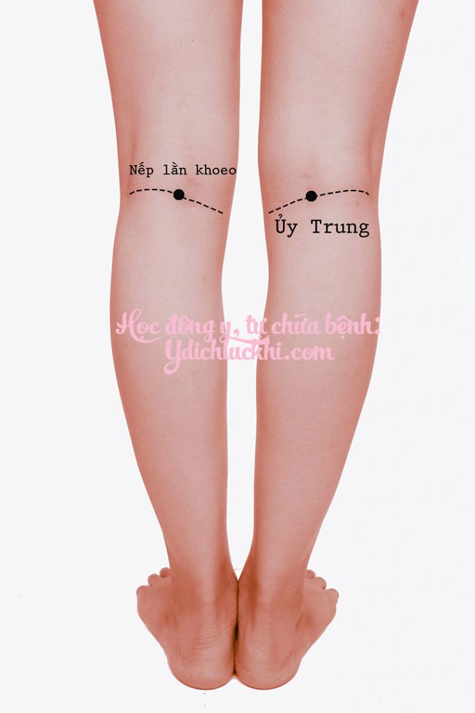 BQ- Ủy Trung