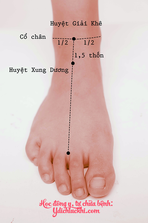 Vị – Xung Dương